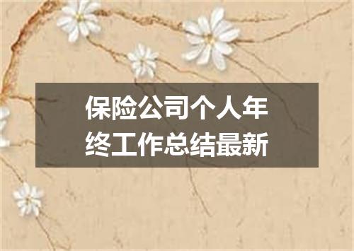 保险公司个人年终工作总结最新