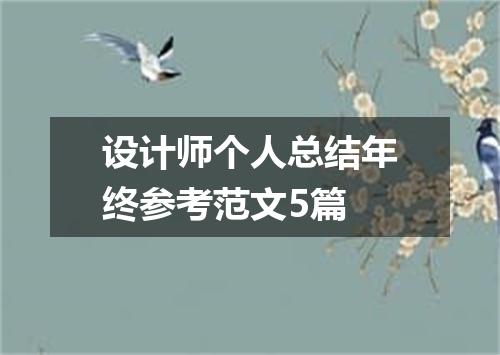 设计师个人总结年终参考范文5篇