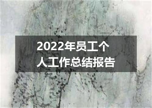2022年员工个人工作总结报告