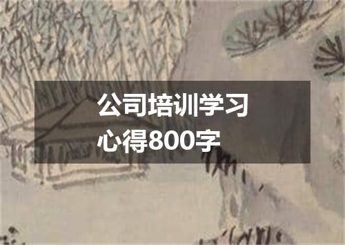 公司培训学习心得800字