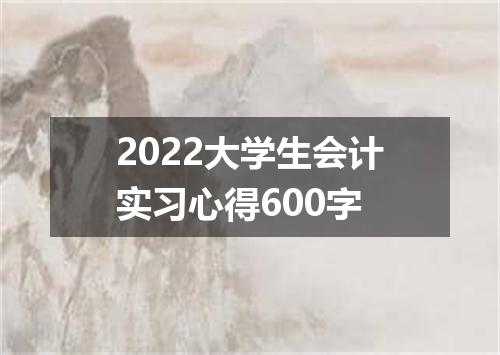 2022大学生会计实习心得600字