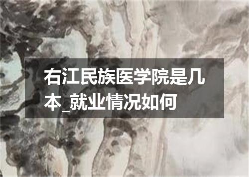 右江民族医学院是几本_就业情况如何