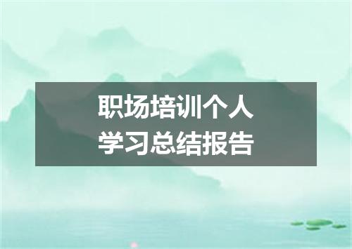职场培训个人学习总结报告