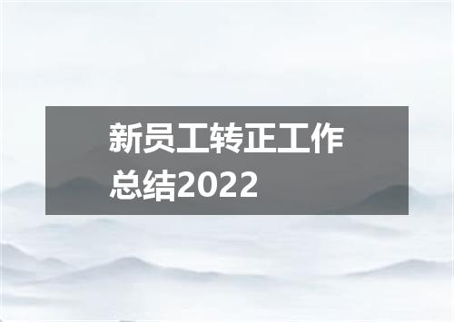 新员工转正工作总结2022
