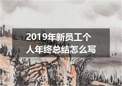 2019年新员工个人年终总结怎么写