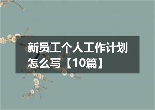 新员工个人工作计划怎么写【10篇】