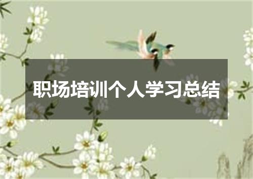 职场培训个人学习总结