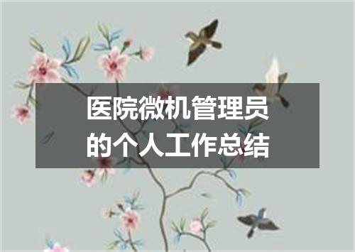 医院微机管理员的个人工作总结