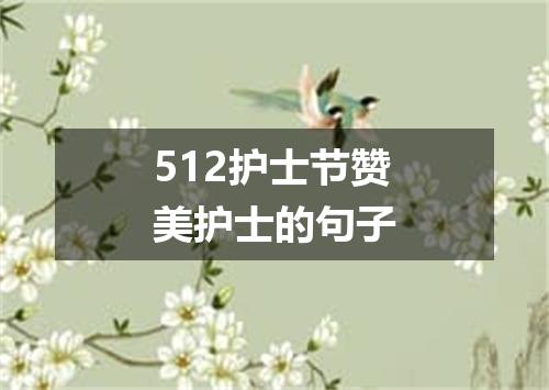 512护士节赞美护士的句子