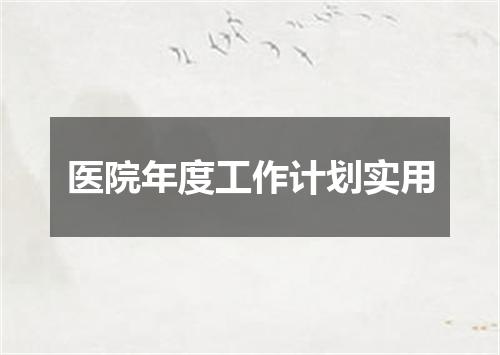 医院年度工作计划实用