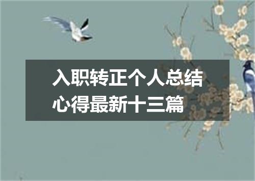 入职转正个人总结心得最新十三篇