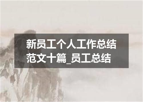 新员工个人工作总结范文十篇_员工总结