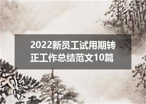 2022新员工试用期转正工作总结范文10篇