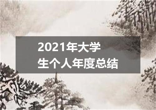 2021年大学生个人年度总结
