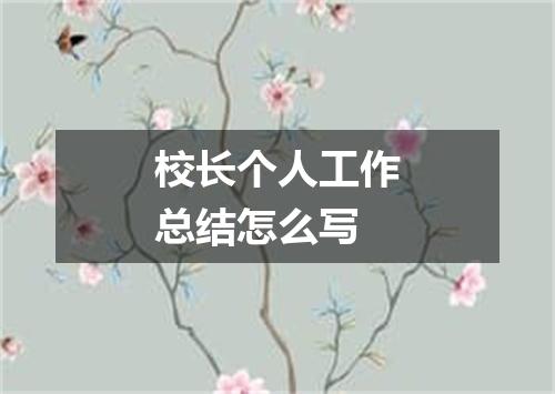 校长个人工作总结怎么写