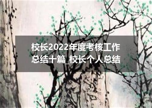 校长2022年度考核工作总结十篇_校长个人总结
