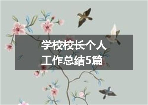 学校校长个人工作总结5篇