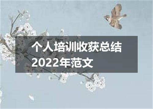 个人培训收获总结2022年范文