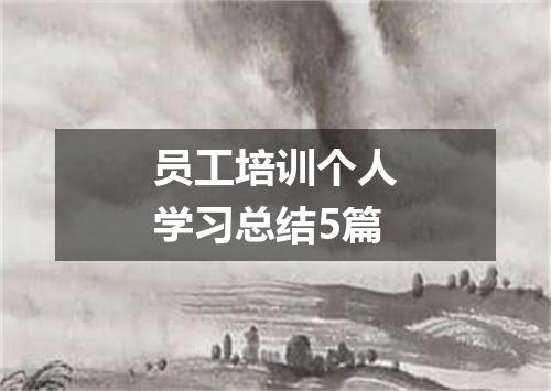 员工培训个人学习总结5篇
