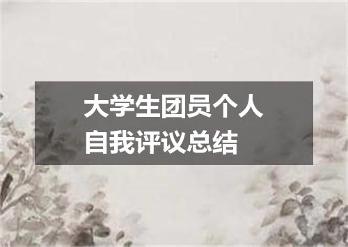 大学生团员个人自我评议总结