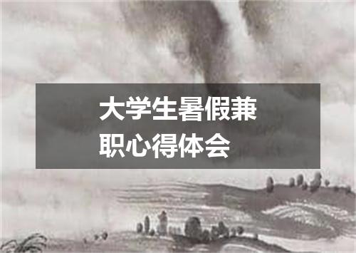 大学生暑假兼职心得体会