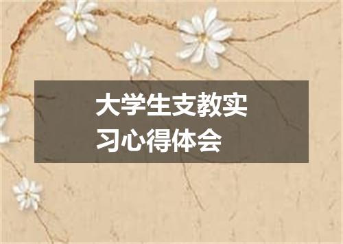 大学生支教实习心得体会