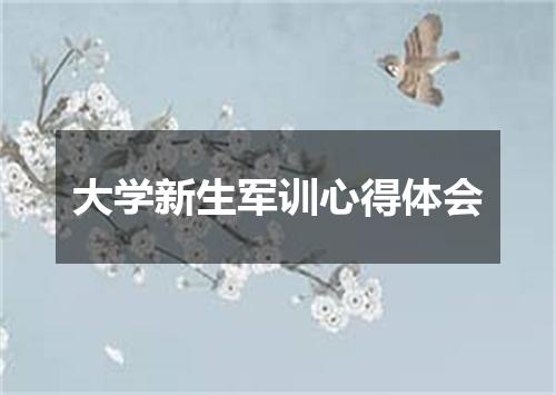 大学新生军训心得体会