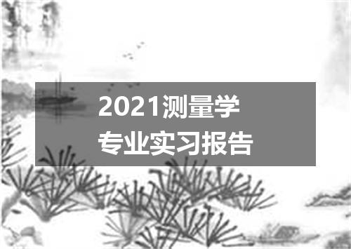 2021测量学专业实习报告