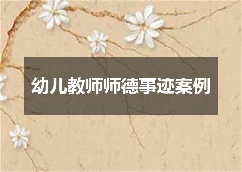 幼儿教师师德事迹案例