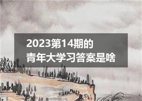 2023第14期的青年大学习答案是啥