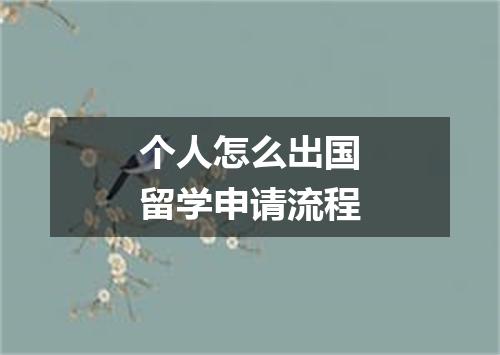 个人怎么出国留学申请流程