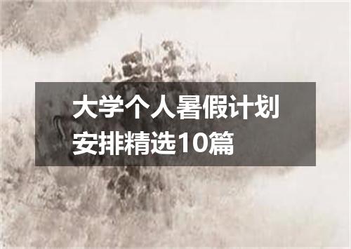 大学个人暑假计划安排精选10篇