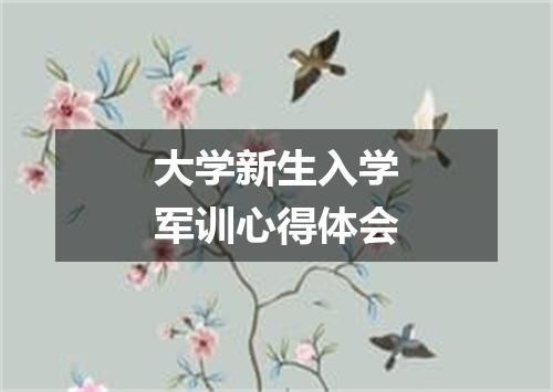 大学新生入学军训心得体会