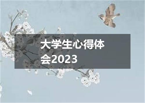 大学生心得体会2023