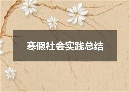 寒假社会实践总结