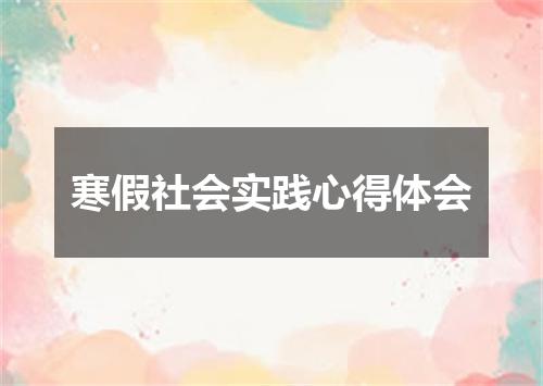 寒假社会实践心得体会