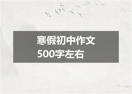 寒假初中作文500字左右
