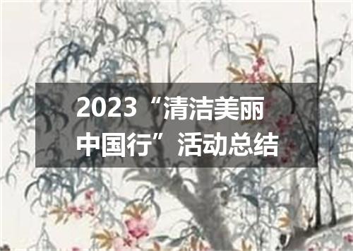 2023“清洁美丽中国行”活动总结