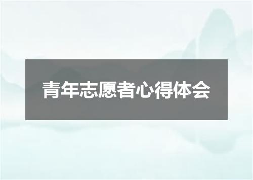 青年志愿者心得体会