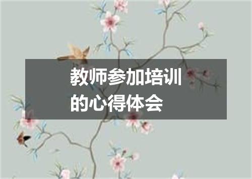 教师参加培训的心得体会