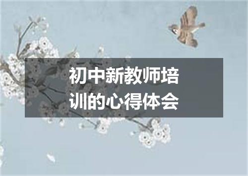 初中新教师培训的心得体会