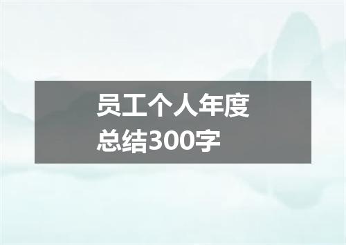 员工个人年度总结300字