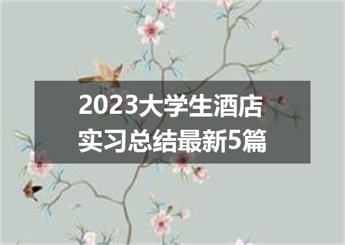 2023大学生酒店实习总结最新5篇