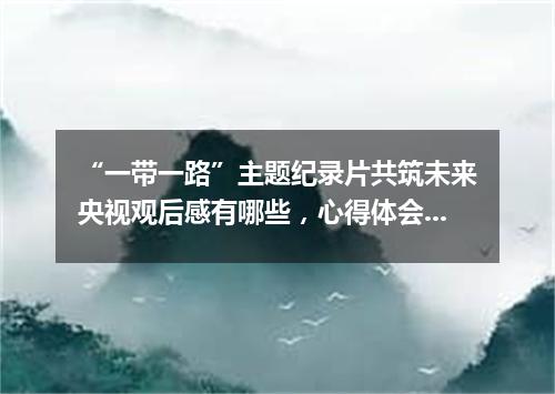 “一带一路”主题纪录片共筑未来央视观后感有哪些，心得体会怎么写