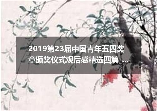 2019第23届中国青年五四奖章颁奖仪式观后感精选四篇_青年五四奖章直播心得体会有哪些