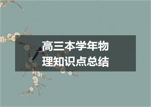 高三本学年物理知识点总结