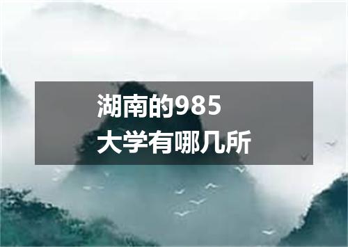 湖南的985大学有哪几所