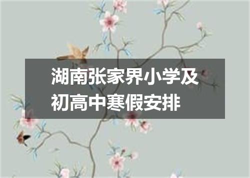 湖南张家界小学及初高中寒假安排