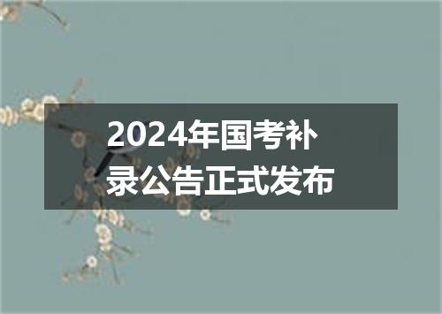 2024年国考补录公告正式发布