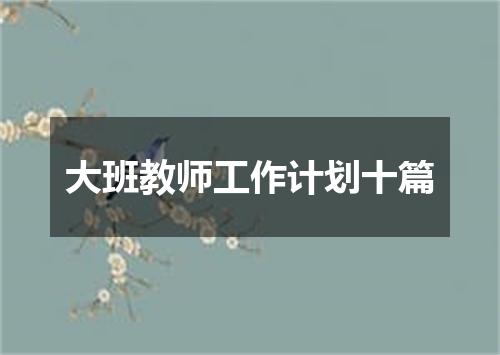大班教师工作计划十篇